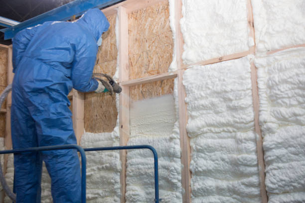 Best Reflective Insulation  in Tuckahoe, VA